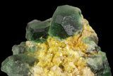 Fluorite, Goshenite & Mica Association - Namibia #93699-2